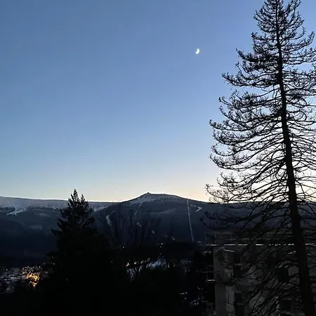 Everysky - Gorna 19